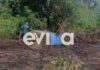 Φωτιά στο Μαντούδι Ευβοίας – Στο σημείο πυροσβεστικές δυνάμεις