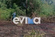Φωτιά στο Μαντούδι Ευβοίας – Στο σημείο πυροσβεστικές δυνάμεις