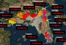Το 38% των δασών της Αττικής κάηκε μέσα στα τελευταία 9 χρόνια