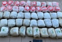 Φλώρινα: Χειροπέδες σε 68χρονο για μεταφορά 55 κιλών κάνναβης – Κατασχέθηκαν όχημα και κινητά
