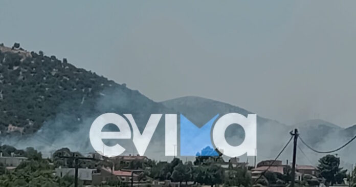 otiaaliveri-1200x630.jpg