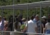 Άγιος Παΐσιος: Ουρές πιστών στη Σουρωτή 32 χρόνια μετά την κοίμησή του