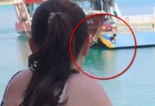 Ελαφόνησος: Πλοιοκτήτης ο άνδρας που κολυμπούσε προς το πλοίο που άνοιξε τον καταπέλτη εν πλω