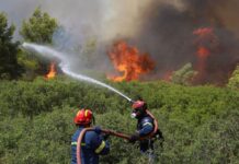 Προκήρυξη ΑΣΕΠ για 600 προσλήψεις πυροσβεστών: Πότε αρχίζει η υποβολή αιτήσεων