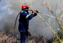 Φωτιά στην Εύβοια στην περιοχή Σταυρός – Επιχειρούν εναέρια μέσα