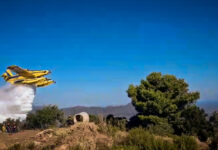 Meteo: Δορυφορικές εικόνες από τις φωτιές σε Βοιωτία και Αργολίδα – Ο καπνός έφτασε μέχρι και τη Λακωνία