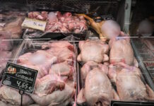 Λαμία: Εντοπίστηκε ο προμηθευτής των κοτόπουλων που φαίνεται να προκάλεσαν τα κρούσματα σαλμονέλας