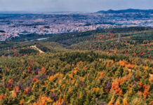 Σε πορτοκαλί συναγερμό για πυρκαγιές η Θεσσαλονίκη: Απαγόρευση κυκλοφορίας σε Σέιχ Σου, Πανόραμα, Θέρμη, Ωραιόκαστρο και σε Κιλκίς