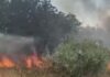 Δύο συλλήψεις για τη φωτιά στις Οινούσσες Σερρών – Βγήκαν εκτός δρόμου με το αυτοκίνητο, χτύπησε στο έδαφος και προκάλεσε σπίθες