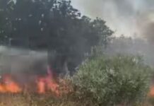 Δύο συλλήψεις για τη φωτιά στις Οινούσσες Σερρών – Βγήκαν εκτός δρόμου με το αυτοκίνητο, χτύπησε στο έδαφος και προκάλεσε σπίθες