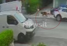 Βριλήσσια: Βίντεο ντοκουμέντα από το σημείο της επίθεσης του σκυλιού στον άνδρα – «Τα ρούχα του είχαν σκιστεί και είχε δαγκωματιές»