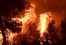 Εικόνες «Αποκάλυψης» από την πύρινη λαίλαπα στην Βοιωτία: Ανεξέλεγκτα τα μέτωπα σε Πόρτο Γερμενό και Δομβραίνα, οι φλόγες απειλούν σπίτια