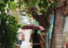Καιρός: Καλοκαιρινό μπουρίνι έβγαλε και πάλι τις ομπρέλες στην Αθήνα – Δείτε βίντεο