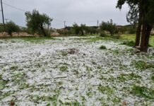 Γρεβενά: Χαλάζι σε μέγεθος κορόμηλου χτυπά την περιοχή – Δείτε βίντεο από την Εγνατία Οδό