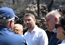 Το ΠΑΣΟΚ ανεβάζει στροφές και ο Ανδρουλάκης ετοιμάζει τη «μάχη» της ΔΕΘ
