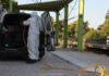 Ιός Δυτικού Νείλου: Εντείνεται η ανησυχία για την αύξηση των κρουσμάτων – «Μπορεί να προσβάλει κάθε ηλικία», λέει η Ψαλτοπούλου