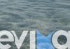 Σοκ στην Εύβοια: Χιλιάδες πόδια από κοτόπουλα και γαλοπούλες ξεβράστηκαν σε παραλία