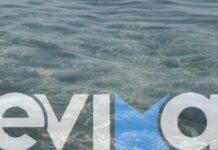 Σοκ στην Εύβοια: Χιλιάδες πόδια από κοτόπουλα και γαλοπούλες ξεβράστηκαν σε παραλία