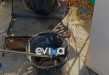Εύβοια: Φίδι δύο μέτρων εντοπίστηκε σε αποθήκη σπιτιού