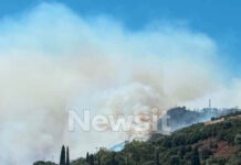 Φωτιά στο Σκάλωμα Φωκίδας: Αλλεπάλληλα μηνύματα του 112 για εκκενώσεις – «Απομακρυνθείτε προς Ναύπακτο»