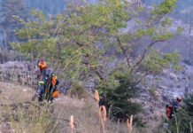 Φωτιά στο Μεσολόγγι σε αγροτική έκταση στην περιοχή Λεύκα – Σηκώθηκαν και εναέρια