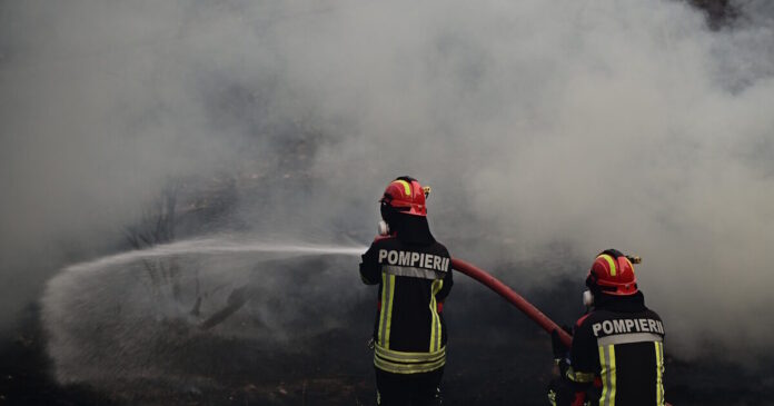 fotia-5-1200x630.jpg