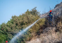 Φωτιά στο Κουνουπέλι Ηλείας: Εμπρησμό δείχνουν τα πρώτα στοιχεία
