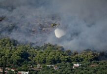 Φωτιές: Σε Red Code για αύριο Αττική, Εύβοια, Λέσβος και Χίος