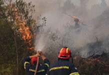 Φωτιά στη Χαλκιδική – Καίει σε αγροτοδασική έκταση στο Παλαιοχώρι