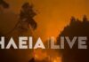 Φωτιά στην Ηλεία στην περιοχή στην Αλφειούσα: Ολονύχτια μάχη με τις φλόγες – Οι άνεμοι δυσκολεύουν το έργο κατάσβεσης
