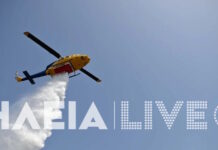 Φωτιά στην Ηλεία, στην περιοχή Κουνουπέλι: Σηκώθηκαν 2 εναέρια μέσα