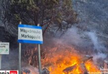 Φωτιά στην Κεφαλονιά: Συνεχής η μάχη με τις αναζωπυρώσεις, οι φλόγες έφτασαν στα σπίτια