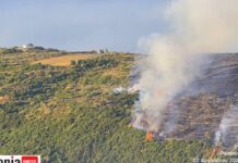 Φωτιά στην Κεφαλονιά: Συνελήφθη 44χρονος για εμπρησμό – Είχε καταδικαστεί και στο παρελθόν