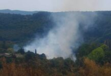 Φωτιά στην Κέρκυρα: Υπό μερικό έλεγχο η πυρκαγιά στο Τεμπλόνι