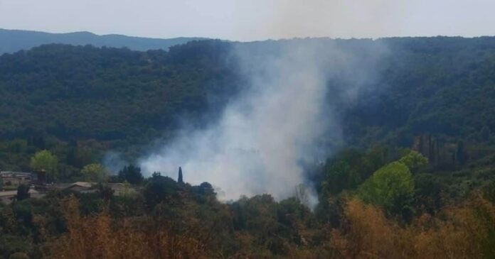 fotia-kerkira-1200x630.jpg