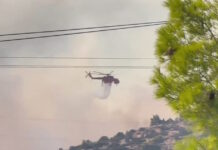 Νέα αναζωπύρωση στο νότιο μέτωπο της πυρκαγιάς: Συναγερμός σε Μέγαρα και Βλυχάδα