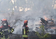 Φωτιές σε Αττική και Βοιωτία: Πέμπτη ημέρα μάχης με τις φλόγες – Συνεχείς αναζωπυρώσεις σε Λούμπα και Ψάθα – Live όλες οι εξελίξεις