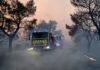 Φωτιά στη Μαγνησία στην περιοχή Άγιος Λαυρέντιος – Επιχειρούν 3 εναέρια μέσα