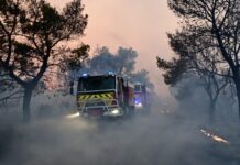 Φωτιά στη Μαγνησία στην περιοχή Άγιος Λαυρέντιος – Επιχειρούν 3 εναέρια μέσα