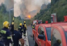 Φωτιά στα Σελλιά Ρεθύμνου: Ελεύθερος με εγγύηση 10.000 ευρώ ο 35χρονος Ισραηλινός – «Στα ψιλά γράμματα η μη χρήση ψησταριάς σε περίπτωση ανέμων»
