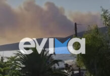 Φωτιά στη Σκύρο: Μάχη σε δύο μέτωπα με ανέμους άνω των 7 μποφόρ – Βελτιωμένη η εικόνα