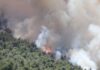 Φωτιά σε Βοιωτία και Αττική: Στον εισαγγελέα της Θήβας οι δύο συλληφθέντες
