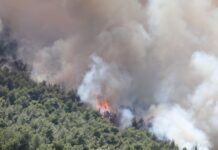 Φωτιά σε Βοιωτία και Αττική: Στον εισαγγελέα της Θήβας οι δύο συλληφθέντες