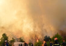Φωτιά στην Βοιωτία: Στον ανακριτή οι δύο συλληφθέντες, αντιμέτωποι με τέσσερα κακουργήματα