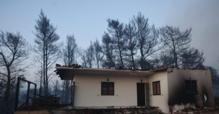fotia-xalkidiki-3-eurok-1200x630.jpg