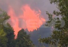 Αυτά είναι τα μέτρα που ανακοίνωσε η κυβέρνηση για τα νοικοκυριά & τους εργαζόμενους σε Δυτική Αττική και Βοιωτία