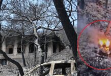 Φωτιές στη Σαλαμίνα: Εμπρησμό βλέπουν οι κάτοικοι, το μαύρο αυτοκίνητο και ο μηχανισμός στο δάσος – «Το πέταξε και σε κλάσματα δευτερολέπτου άρπαξε»