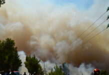 Το πολωμένο μελτέμι που τροφοδότησε τις φωτιές σε Αττική και Βοιωτία: «Από τα ισχυρότερα επεισόδια των τελευταίων 50 χρόνων»