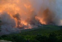 Φωτιά σε δάσος στο Κερασοχώρι Αγράφων – Και εναέρια μέσα στο σημείο