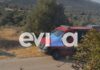 Φωτιά στην Εύβοια στην περιοχή Αλμυροπόταμος – Ισχυρές δυνάμεις στο σημείο